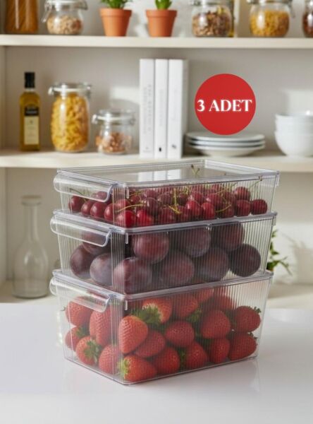 Okyanus Home 3 Boy Kapaklı Şeffaf Buzdolabı Organizeri ve Saklama Kabı 3'lü 3500ML-4500ML-6500ML