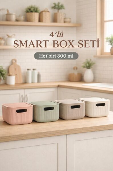 Okyanus Home Linea Smart Box Multi Renk 2,4 Lt 4 Adet Kapaklı Çok Amaçlı Saklama Kutusu