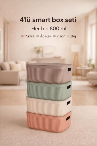 Okyanus Home Linea Smart Box Multi Renk 2,4 Lt 4 Adet Kapaklı Çok Amaçlı Saklama Kutusu