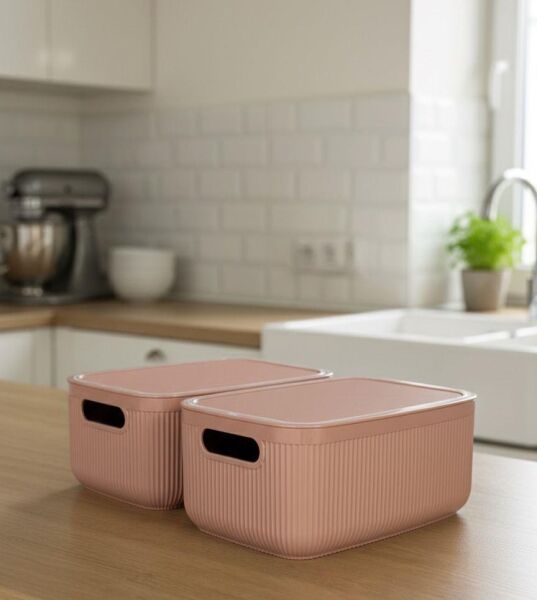 Okyanus Home Linea Smart Box Pembe 2,4 Lt 2 Adet Kapaklı Çok Amaçlı Saklama Kutusu