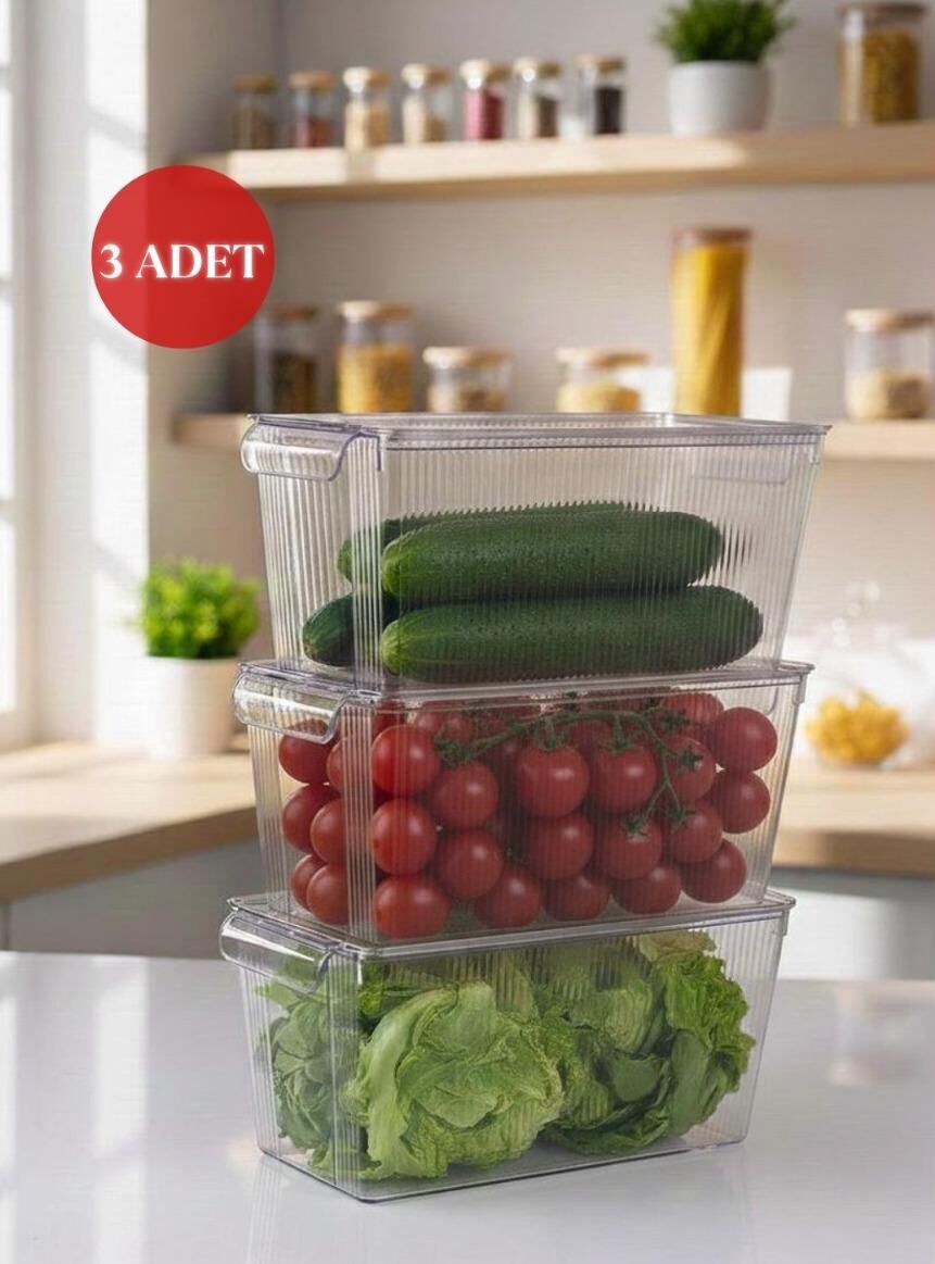Okyanus Home 3 Adet Kapaklı Midi Buzdolabı Organizeri ve Saklama Kabı 4500ML