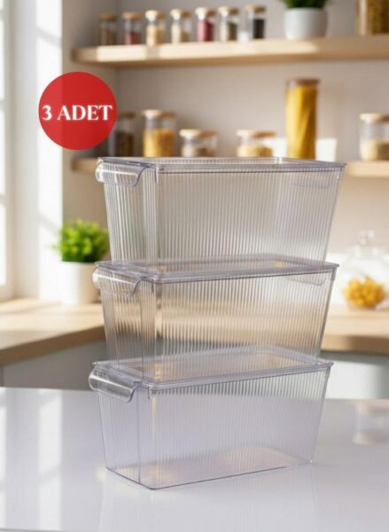 Okyanus Home 3 Adet Kapaklı Midi Buzdolabı Organizeri ve Saklama Kabı 4500ML