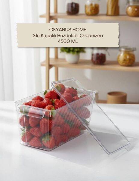 Okyanus Home 3 Adet Kapaklı Midi Buzdolabı Organizeri ve Saklama Kabı 4500ML