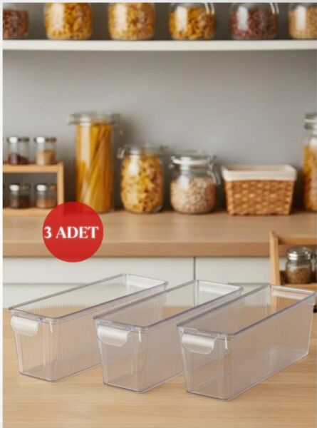 Okyanus Home 3 Adet Kapaklı Mini Buzdolabı Organizeri ve Saklama Kabı 2000ML