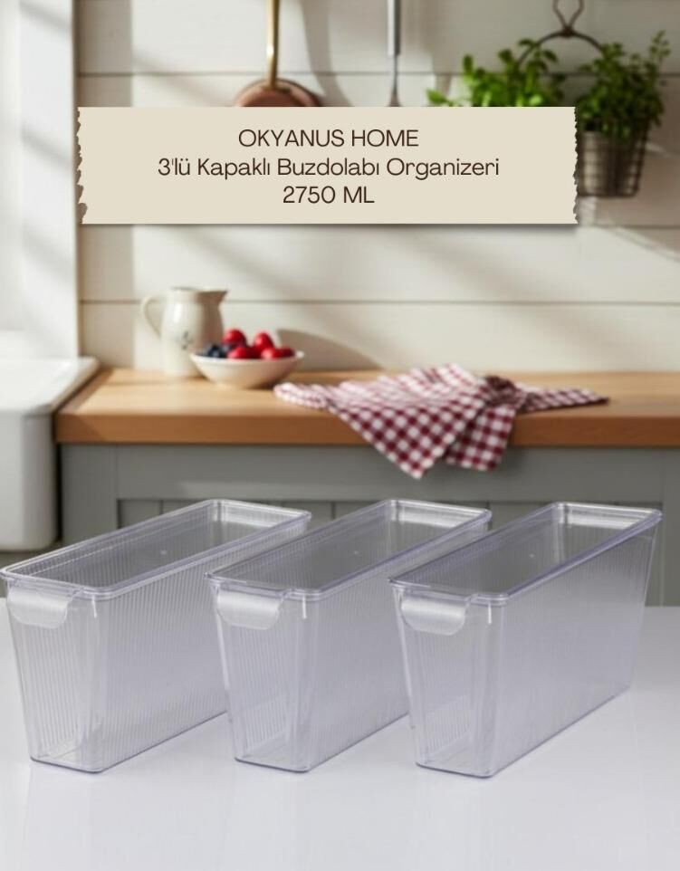 Okyanus Home 3 Adet Kapaklı Mini Buzdolabı Organizeri ve Saklama Kabı 2750ML